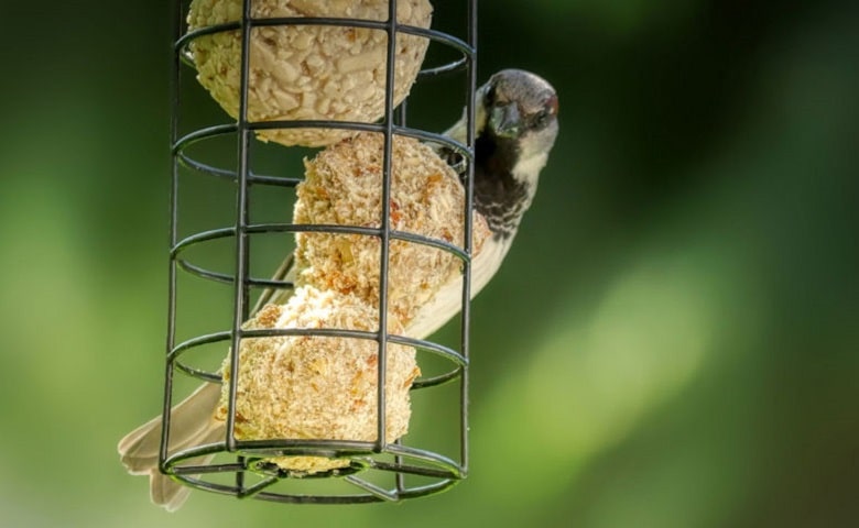 support pour boules de graisse