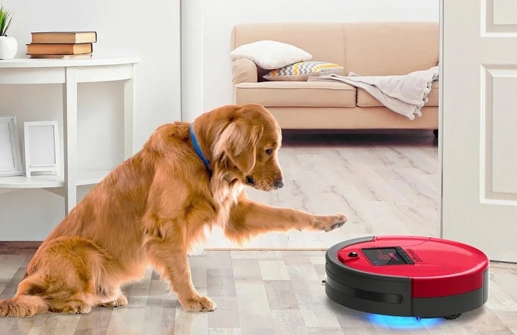 aspirateur robot poils de chien