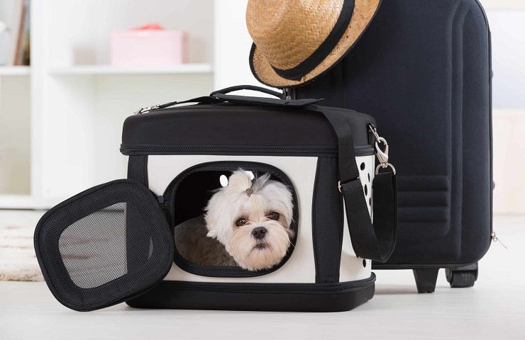 meilleure cage de transport pour chien