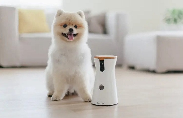 meilleure caméra pour chien