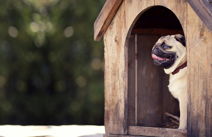 niche pour chien extérieur hiver