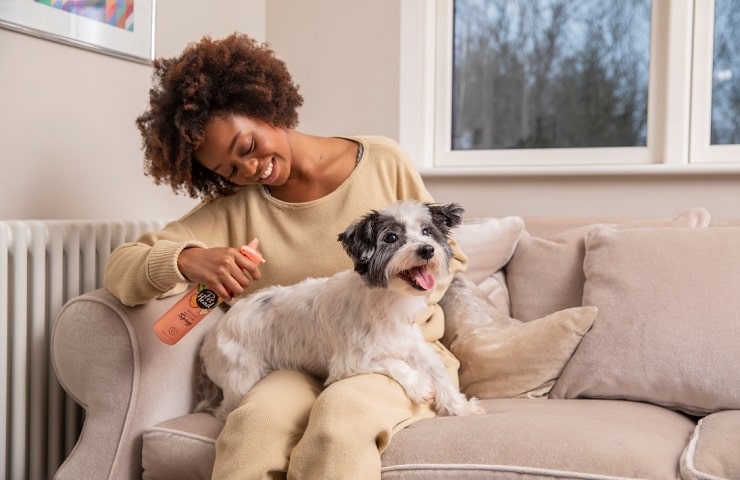 shampoing sec pour chien
