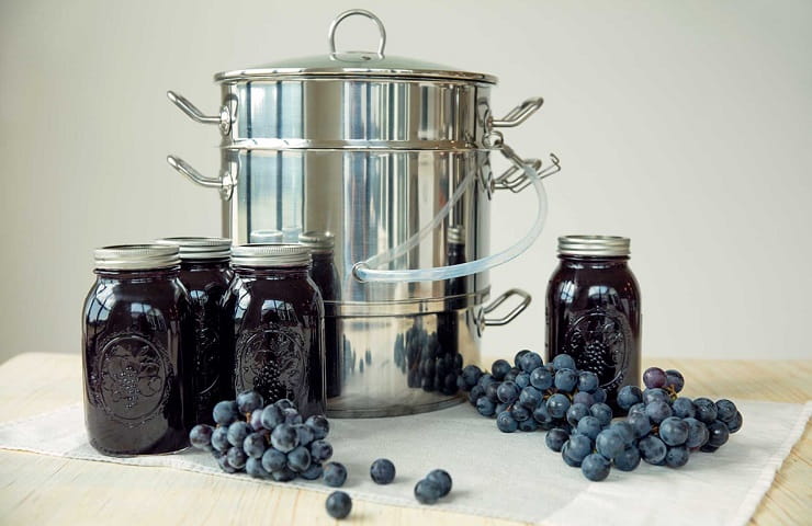 extracteur de jus vapeur