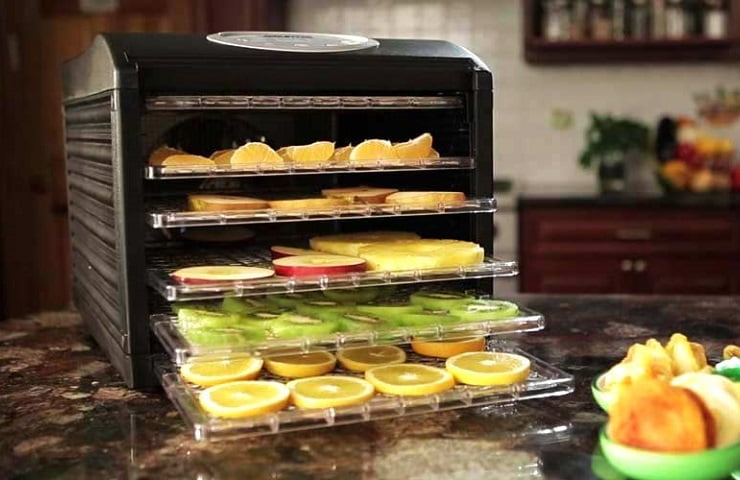 meilleur déshydrateur alimentaire