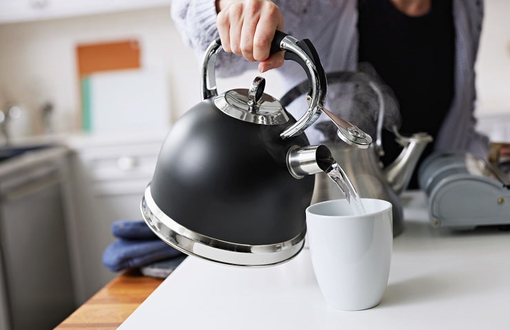 meilleure bouilloire à induction