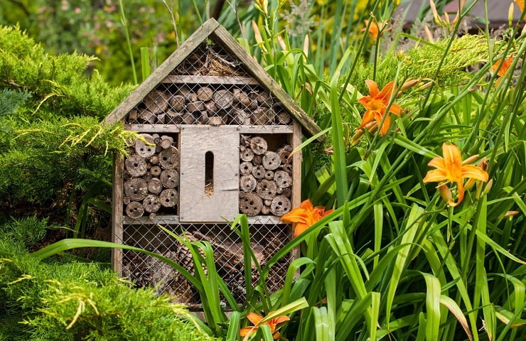 Le meilleur hôtel à insectes