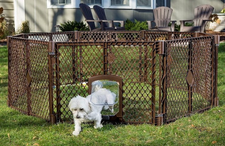 enclos pour chien extérieur
