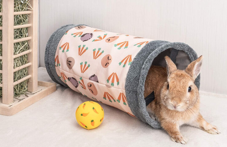 tunnel pour lapin